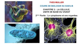 Chapitre 2  2ème partie  Le cytoplasme et ses organites  Cours de Biologie du DAEUB [upl. by Libna818]