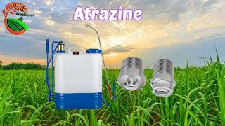 Weed Management in sugarcane by herbicide Metribuzin  24d  atrazine  Explanation in kannada [upl. by Ayekam]