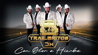 Con Olor a Hierba  Los Traileritos Dm En vivo [upl. by Cohbert]