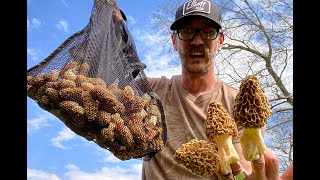 MOREL HUNTING CENTRAL INDIANA 50122 [upl. by Edlyn]