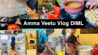 Amma Veetu Vlogசுவையான பருப்பு உருண்டை குழம்பு RecipeDIML VLOG [upl. by Onailimixam779]