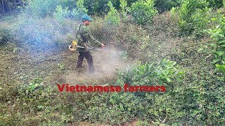 A normal day for Vietnamese farmers [upl. by Federico]