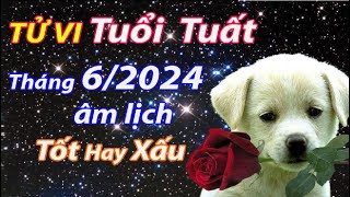 Tử vi tuổi Tuất Tháng 62024 âm lịch tốt hay xấu [upl. by Alra]