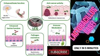 lactobacillus microbiology lecture lactobacillus casei Easy Microbiology [upl. by Auohc]