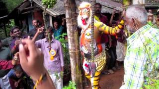 Pulikali  the tiger dance  Kerala Festivals [upl. by Ecienal533]