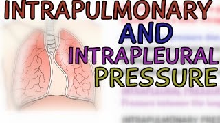 Biology The Respiratory System Intrapulmonary Pressure and Intrapleural Pressure [upl. by Joya996]