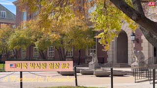 미국 박사 일상 vlog 2  주말일상  UIUC 도서관 생일파티 밀린 TA 업무 처리하기 [upl. by Groveman]