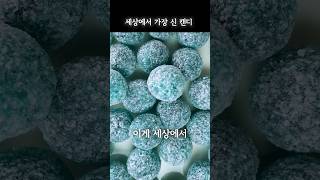 세상에서 가장 신 사탕 유튜버들이 이걸 왜 먹을까 mega sour candy raspberry [upl. by Emarej]