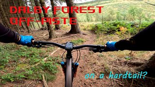 Dalby forest off piste on hardtail [upl. by Dahaf198]