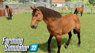 Hodowla koni  Farming Simulator 22  39 [upl. by Lauter]