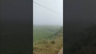 Bike Riding in Deep Forest Full Fogg forest bike riding fog [upl. by Longfellow]