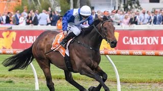 2023 Cox Plate amp Manikato Stakes Day  Moonee Valley Cup Night  Horse Racing Tips [upl. by Estelle]