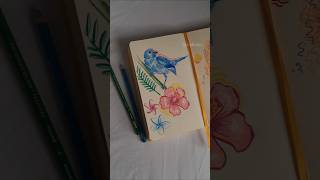 Domingo de garabatos ✍️🌺 sketching dibujosart dibujoamano sketchart [upl. by Myrah]