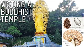 How Statues Affect The Astral Plane amp Buddhist Symbolism [upl. by Sillihp847]