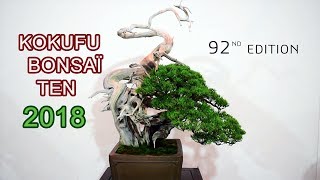 Kokufu Bonsai Ten 92ème édition 2018  Tokyo [upl. by Enniroc]