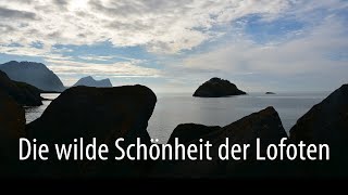 Norwegen  Die wilde Schönheit der Lofoten 4K [upl. by Rooney667]