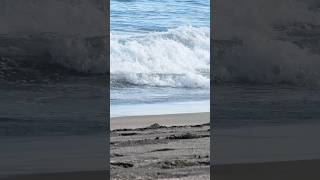 Azores  São Miguel  Black Sand Beach shorts blacksandbeach azores [upl. by Halstead]