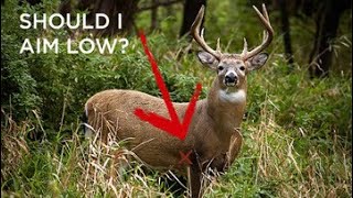 Where To AIM On A Deer  Increasing bowhunters harvest rate with one tip [upl. by Mariellen]