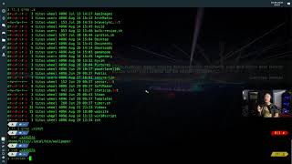 How to Fix Display Issues in Linux [upl. by Bruno674]