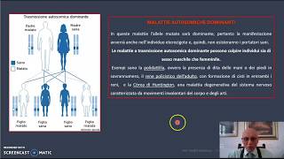 4 Strumenti per creare un albero genealogico [upl. by Mayrim788]