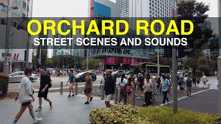 Singapores Famous Orchard Road  Singapore Walking Tours  Street Scenes amp Sounds  Tourist Spots [upl. by Asilana]