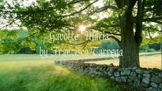 Gavotte Maria by Francisco Tárrega [upl. by Denoting945]