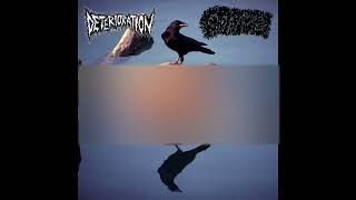 Deterioration  Gastroptosis  split FULL ALBUM 2016  Grindcore  Goregrind [upl. by Anelrihs]