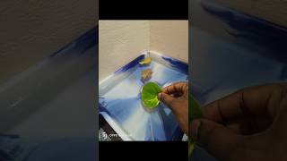 Betta Fish breeding😨 Step By Step💯🤩fish bettafishbettafishbreedingbreeding [upl. by Prunella]