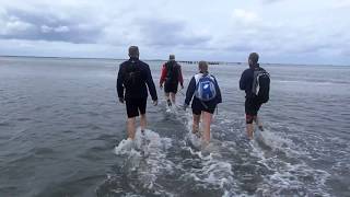 Wadlopen Oversteek naar Ameland [upl. by Agna164]