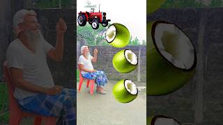 Rounding cut green coconuts to Alto Rollar Jcb amp Tractor  Vehicles names magic video [upl. by Assina]