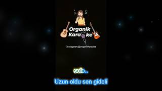 ÇiçeğimOrganik Karaoke [upl. by Studley5]