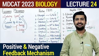 Feedback Mechanism MDCAT 2023  Negative Feedback Mechanism  Positive Feedback Mechanism [upl. by Michaella]