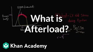 What is afterload  Circulatory system physiology  NCLEXRN  Khan Academy [upl. by Naji223]