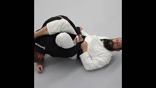 Heisenguard to Arm Bar by Malachy Friedman [upl. by Badger894]