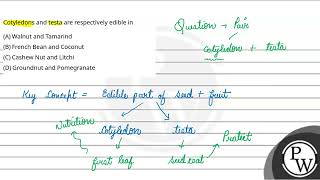 Cotyledons and testa are respectively edible in [upl. by Hairim364]