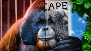 The Ape That Couldn’t Be Contained [upl. by Phira]