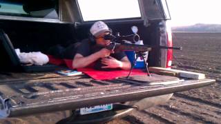 LONG RANGE RIFLE SHOOTING ON A BUDGET MOSIN NAGANT CUSTOM 100 TO 500 YARDS [upl. by Sualkin620]