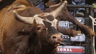 Austin Meier wins Iron Cowboy on Bushwacker PBR [upl. by Michaeu]