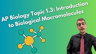 13 Introduction to Biological Macromolecules  AP Biology [upl. by Hoffert]