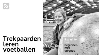 Trekpaarden leren voetballen met Dorien Renders van Ju met ’t peird  Beginnen met erfgoed 137 [upl. by Enyahc617]