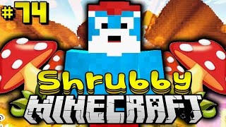 Das SCHLÜMPFELAND  Minecraft Shrubby 74 DeutschHD [upl. by Jegger30]