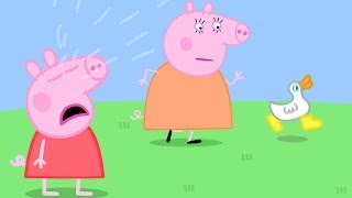 Where are Peppa Pigs Golden Boots  Peppa Pig Official Family Kids Cartoon [upl. by Otrevogir]