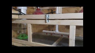 New DIY Quail Brooder With Automatic Waterer And Feeders [upl. by Dleifniw]