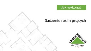 Jak posadzić rośliny pnące i ozdobić pergolę w ogrodzie Porady Leroy Merlin [upl. by Culbertson789]