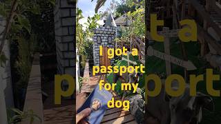 How to DIY get your Dog Ready 4 offgrid tiny home Castle Tower Cabin Cottage Shed  just for fun [upl. by Aisatsana86]