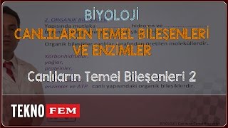 YGSLYS BİYOLOJİ  Canlıların Temel Bileşenleri 2 [upl. by Stacie]