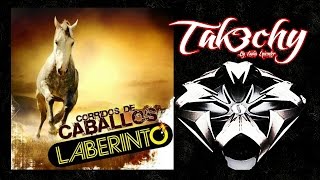 Laberinto  Corridos de Caballos Audio EpicENTER [upl. by Lama]