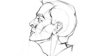 How to Draw the Head  Side View [upl. by Charles]