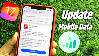 3 Easy Methods to Fix Unable To Check For Update on iPhone Fast [upl. by Ainerbas]