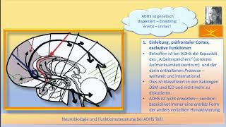 Neurobiologie und Funktionssteuerung bei ADHS Teil I NeuhausCordula [upl. by Firestone]